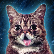 Lil Bub