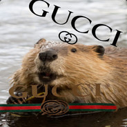GUCCI Bober