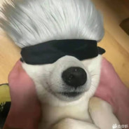 狗子哥