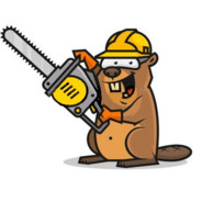 Mr.Bever