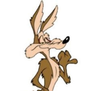 Wile E Coyote: Genius