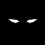 Shadow 2