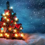 Christmas tree[Ta'Ve]