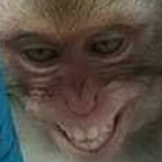 eks