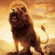 BlackLionzZ