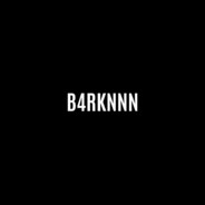 B4RKNNN.exe