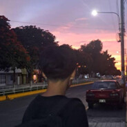SyNe