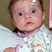 SHARK_99K