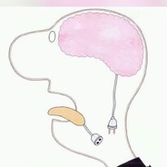 2896