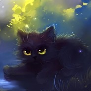 Shaggy Cat