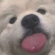 草莓软糖QAQ