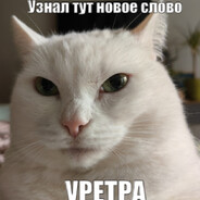 Гидроцефал