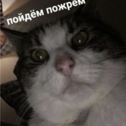 ZloyTapok