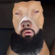 SalutCCoool