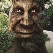 Wise Mystical Tree