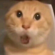 上等马