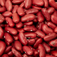 Steam Community :: BEANS