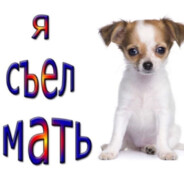 пися попа