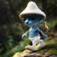 młody grzybek礼, 小skins.army