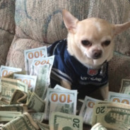 Al Cabone (Dog Mobster)