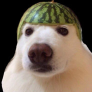 RenshiBot