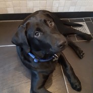 Bjørn =)