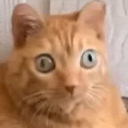 Glorp