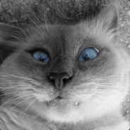 :3
