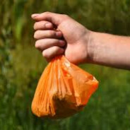 bagofshit