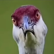 X_X