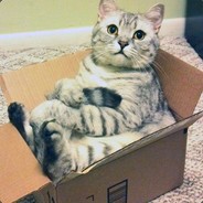 Leia o meu perfil