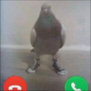 Calvo adora moças