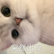 Melody