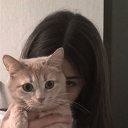 princessxyz