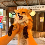 𝐿@𝕫𝖄_ℜеnαяd🦊