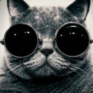 RubiroID_228