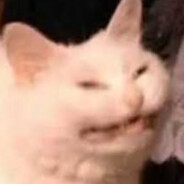 PP