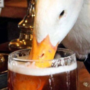 Soduck
