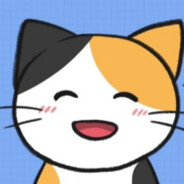 猫启强