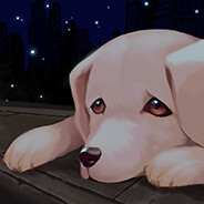 Bangkok Story: A Stray Dog