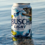 Busch Light