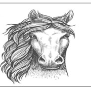 Bailey (The Horse In Question)