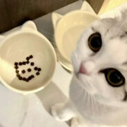 水野满子