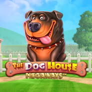 Dog House Megaways avatar