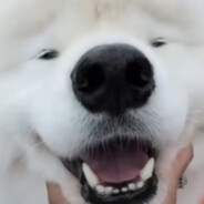 Douog