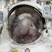 Blobface