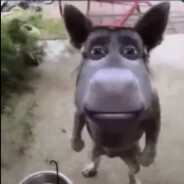 МОЛИТЕСЬ