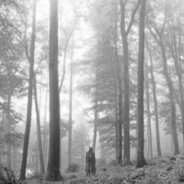 Hex: Delulu