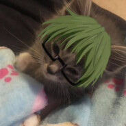✶生まれた血液✶?