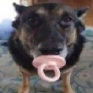 Cachorro Chupets